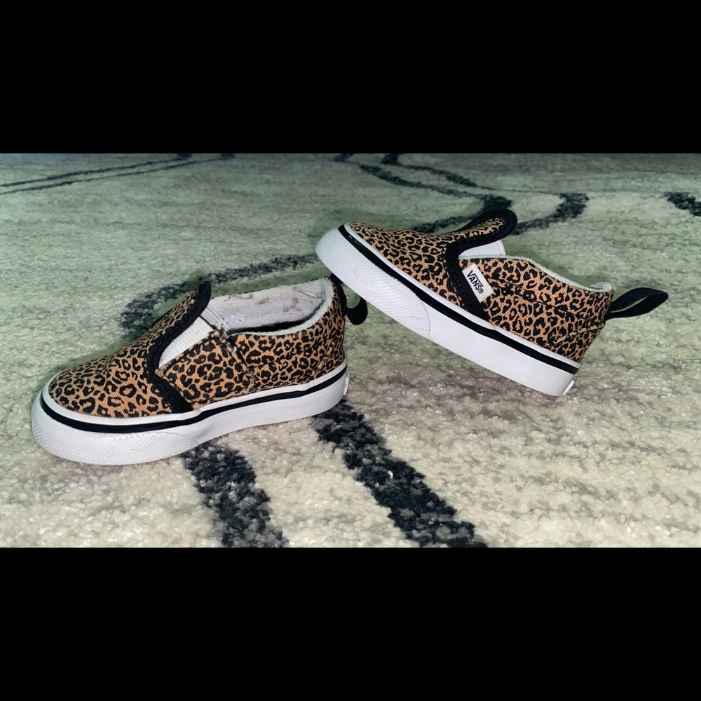 Cheetah Vans 3.5C